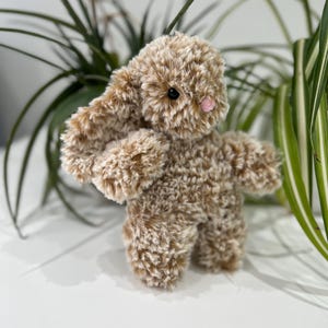 Pode incluir: Um brinquedo de coelho marrom de pelúcia com uma textura fofa. O coelho tem olhos pretos e bochechas rosadas. O brinquedo está em pé com os braços estendidos. Plantas verdes no fundo.