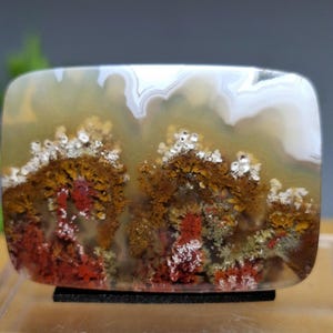 MOSS AGATE Scenic ~ Petrified Wood ~ flower Agate size : 33x23x4,2 mm - gift personalized - free shipping