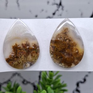 Moss FLower Agate Savings Package | FLower Moss Agate | Crazy Lace Agate.