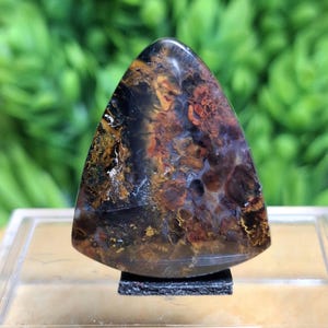 Opalized Petrified Wood || Size: 25x21x5 mm || Plume Agate || Chalcedony.