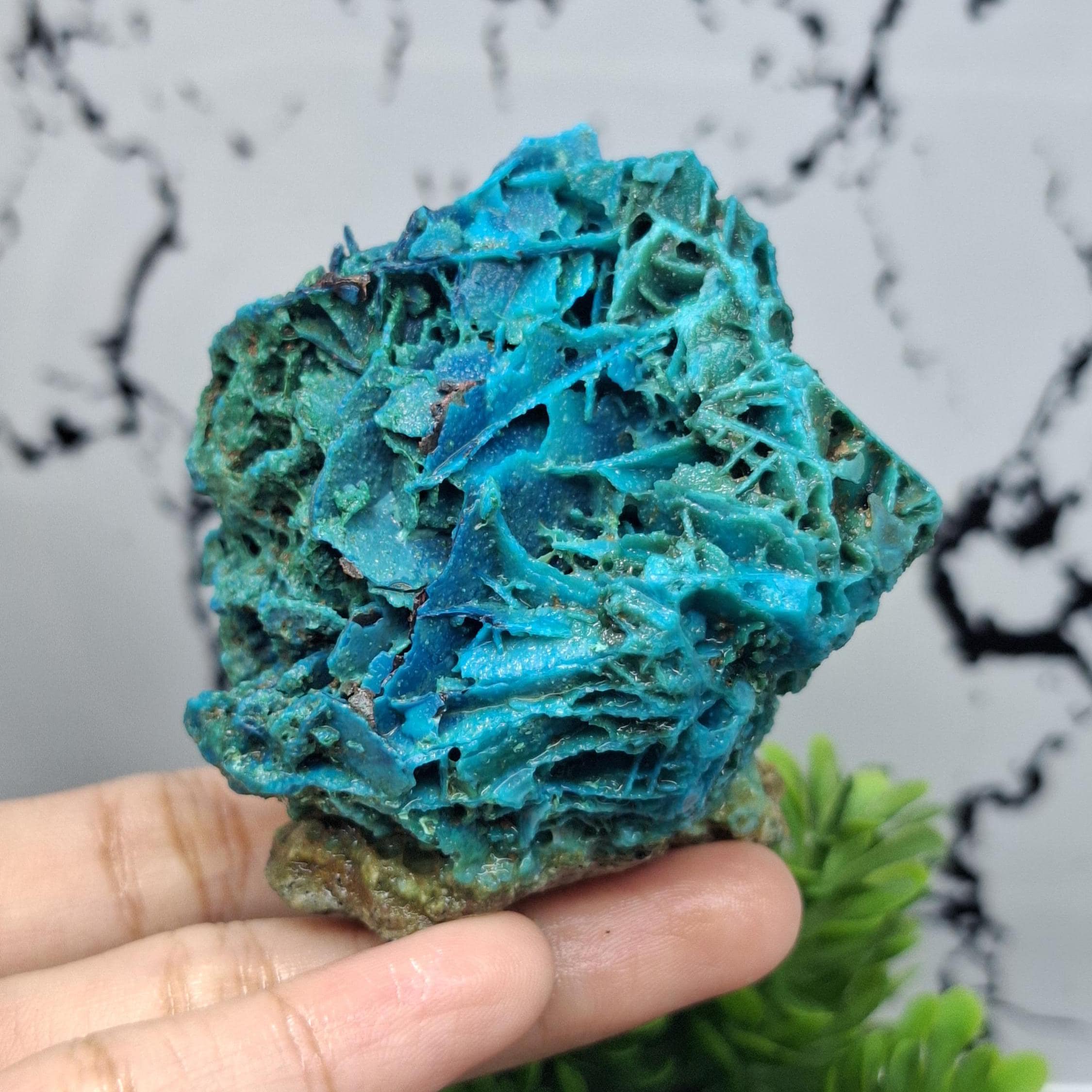 Specimens Chrysocolla Blue Copper || Size : 61x54x30 Mm || Blue