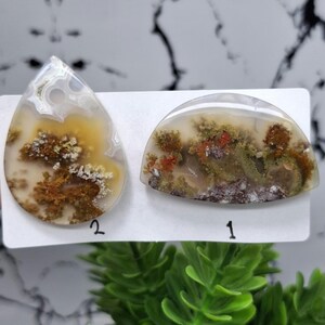 MOSS Flower Agate Scenic | Petrified Wood | Crazy Lace Agate | Spesial Gift .