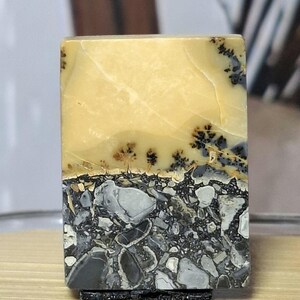 以下が含まれることがあります： 明確な2色の構成を持つ長方形の磨かれた石のルース。上部は滑らかな淡黄色で、シダのような暗い樹枝状のインクルージョンが含まれています。下部は、灰色の破片が混ざった暗い質感の角礫岩です。