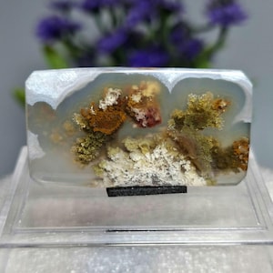MOSS FLower Agate Scenic || Petrified Wood || SIZE : 34x14x4 mm || Crazy Lace Agate.