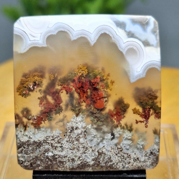 MOSS AGATE  || Terrarium Red Flower Scenic  || Size: 32x30x4,8 mm .