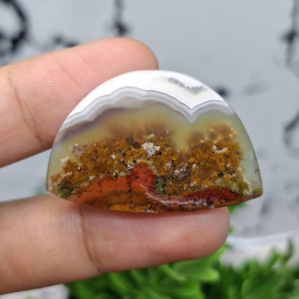 MOSS AGATE Orange Flower Scenic || Crystal || Polished || size : 32x21x5 mm || Crazy Lace Agate.