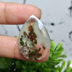 MOSS AGATE Scenic || Crystal flower Agate Size : 29x21x4 mm || Crazy Lace Agate || Polished