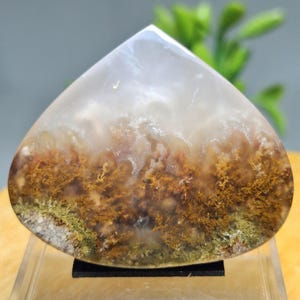 MOSS AGATE Scenic || flower Agate size : 43x36x6,9 mm || Crazy Lace Agate