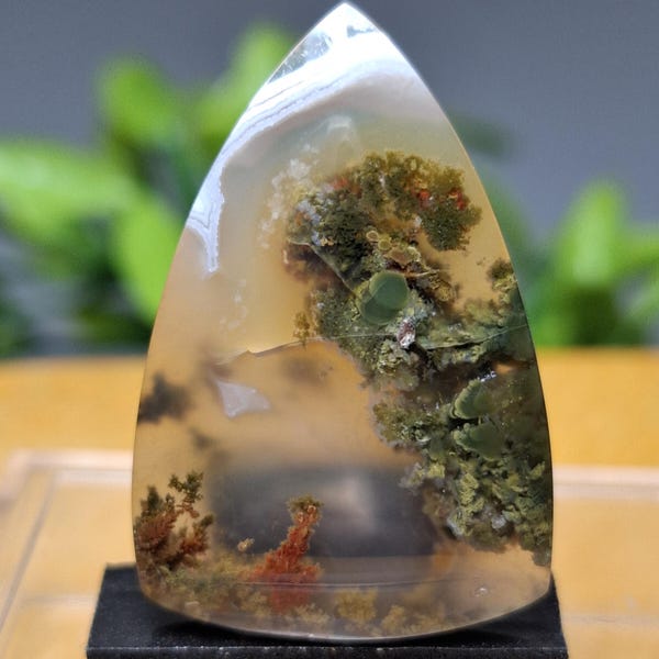 MOSS AGATE  || Unique Terrarium Orange Flower Scenic  || Size: 30x20x5 mm || Petrified Wood