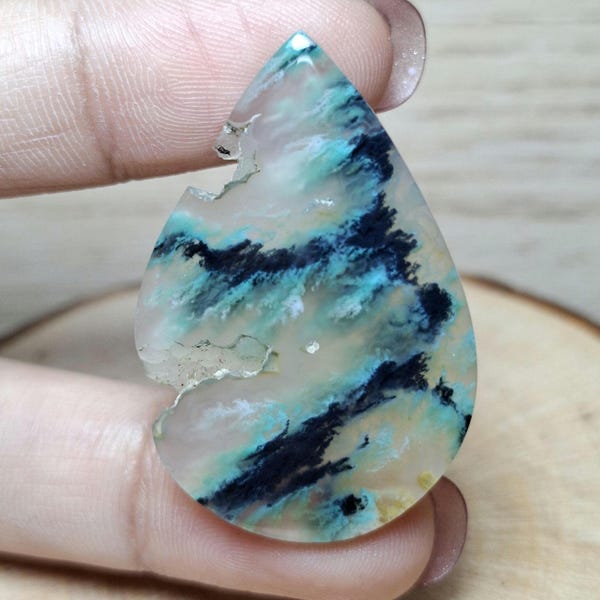 BLUE OPalized Wood - Size : 37x24x4,9 mm || Petrified Wood || Cabochons Polished || Chalcedony.