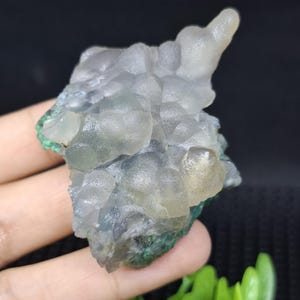 May include: A cluster of translucent, light green, and white chalcedony crystals with a botryoidal texture. The crystals are arranged in a cluster, with some of the crystals forming a pointed shape.