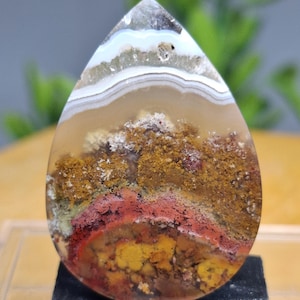 MOSS AGATE Flower Scenic || Petrified Wood || size : 32x23x5 mm || Crazy Lace Agate.