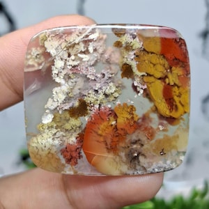 MOSS AGATE Scenic || Orange flower Agate size : 32x30x3,5 mm || Crazy Lace Agate