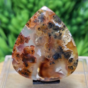 Könnte beinhalten: Ein polierter, tropfenförmiger Edelstein. Der Stein zeigt eine Mischung aus Braun-, Orange- und Schwarztönen mit einem wolkigen, strukturierten Muster. Der Edelstein ist vor einem verschwommenen grünen Hintergrund platziert, ohne sichtbare Maße.