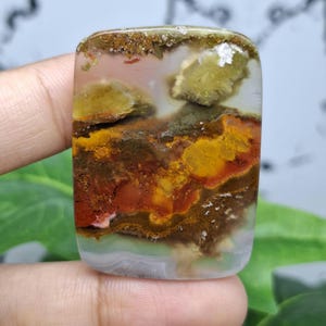 MOSS AGATE Orange Flower Scenic || Crystal || Polished || Size : 39x28x5 mm || Crazy Lace Agate.