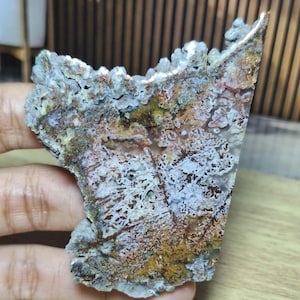 以下が含まれることがあります： 茶色、錆色、白の色合いで、枝分かれした樹木のようなインクルージョンを持つ複雑な樹枝状模様が特徴の、平らで不規則な形のメノウの石片。表面は質感のある結晶質の縁取りで、半透明の部分が見られます。