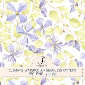 Può includere: Un motivo senza cuciture con fiori di clematide ad acquerello in tonalità viola chiaro e foglie verde-giallastro tenue su sfondo bianco. Il design include il testo SARA SIRONI DESIGN, CLEMATIS WATERCOLOR SEAMLESS PATTERN, JPG PNG- 300 dpi.
