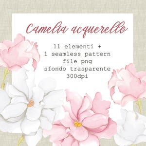 Clip art fiore camelia colore tenue file png sfondo trasparente fiore e bocciolo invito card auguri matrimonio progetti creativi elegante