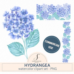 Può includere: Set di clipart ad acquerello con fiori di ortensia blu, foglie e bordi. L'immagine include un grande fiore di ortensia, un bordo floreale e una grafica circolare con il testo "commercial use". È presente anche il testo "Hydrangea watercolor clipart set - PNG".