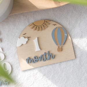 Accessoire photo d'étape importante en montgolfière, photos d'étape mensuelle importante, cadeau de baby shower pour garçon, étape importante du mois pour bébé, accessoire photo nouveau-né