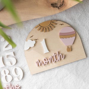 Accessoire photo d'étape importante en montgolfière, photos d'étape mensuelle importante, cadeau de baby shower pour fille, étape importante du mois pour bébé, accessoire photo de nouveau-né