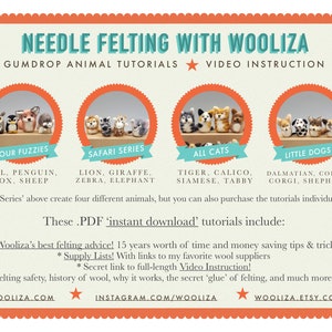 Safari Series Needle Felting Tutorials Gumdrop Miniatures by WOOLIZA PDF Instant Download Video Instructions Beginner Level image 2