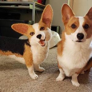 Messi the Corgi - Custom- Made Life Size Corgi Sculpture