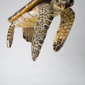 HONU Green Sea Turtle Sculpture made of Needle Felted Wool. Installation/ Floating Scultpure