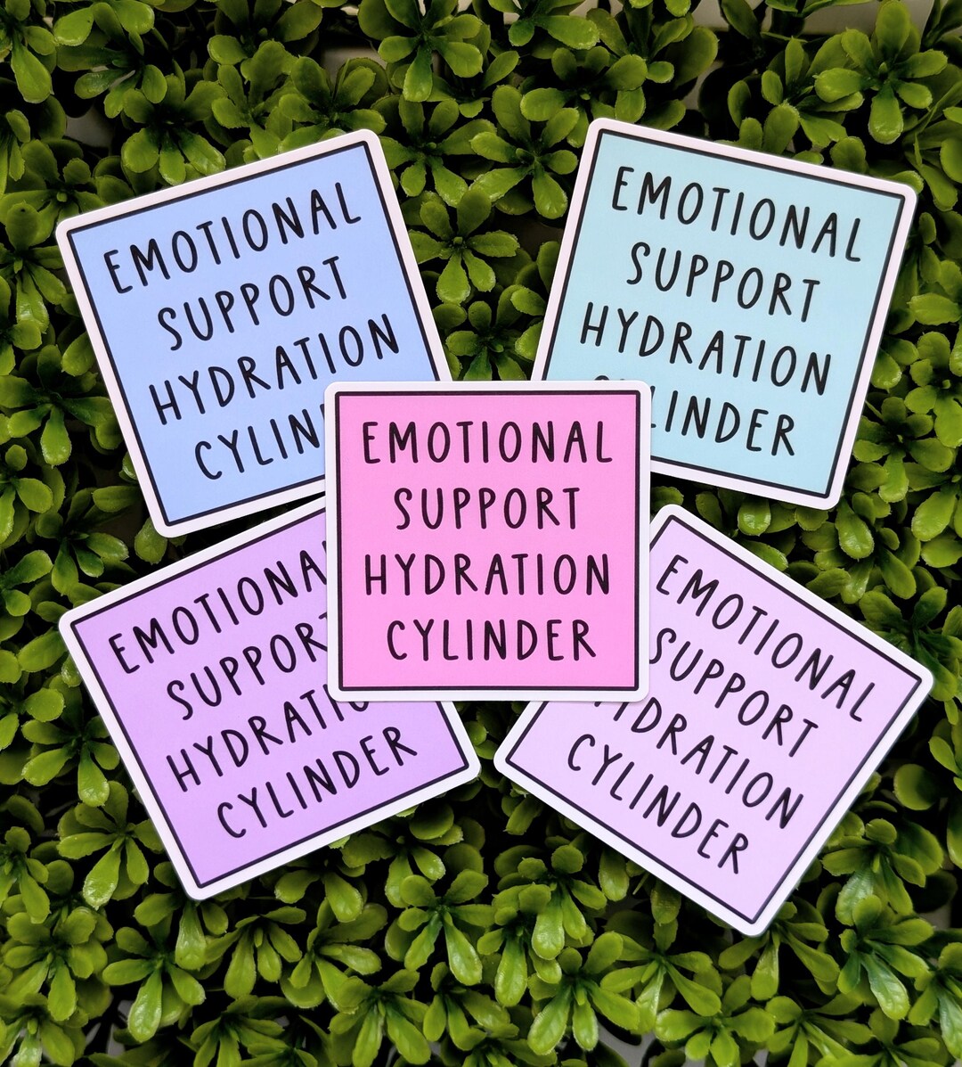 Emotional Support Water Bottle Sticker: Funny Planet Hydration Decal - Etsy