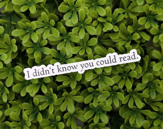 Funny Reading Quote Sticker, Bookish Decal, Wizard and Witch Stickers