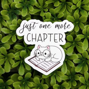 Cat and Book Sticker, One More Chapter Sticker, Book Lover Gifts, Reader Stickers, Cat Lover Sticker