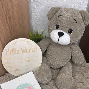 Cadeauset teddybeer Gehaakte pasgeboren aangepaste deken Geboortebord optioneel naamkaartje Babyshowercadeau Handgemaakte knuffel Douchecadeaumand