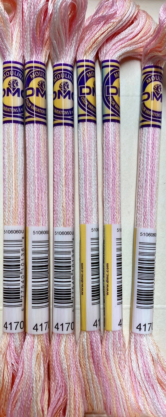 DMC 4170 Whispering Wind Color Variations Embroidery Floss 1 Etsy