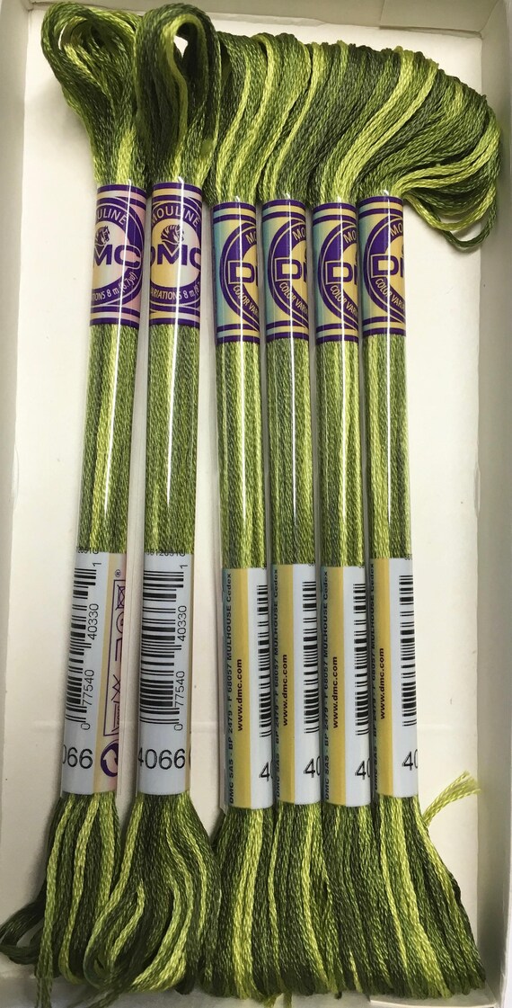 DMC 4066 Amazon Moss Variegated Colors Embroidery Floss 1 Etsy