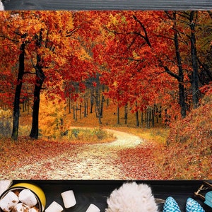 Bellissimo paesaggio autunnale, vista della foresta autunnale, stampa su tela, foto di paesaggi autunnali, arte murale extra large, decorazione da parete, poster autunnale autunnale