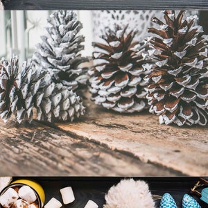 Pine Cones in the Snow Detailed Painting, Pinecones, Rustic Christmas Decor, Farmhouse PINE CONE Art Print,Unframed Pine Cone Painting Print