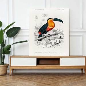 Impresión en lienzo tropical, póster de aves exóticas, decoración de vida silvestre, naturaleza, arte de pared botánico, impresión de aves coloridas, regalo para amantes de las aves, arte de pared de la jungla