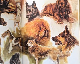 Dogs 作者Rien Poortvliet 水彩画(英語版) Dogs 作者Rien Poortvliet 水彩画(英語版)