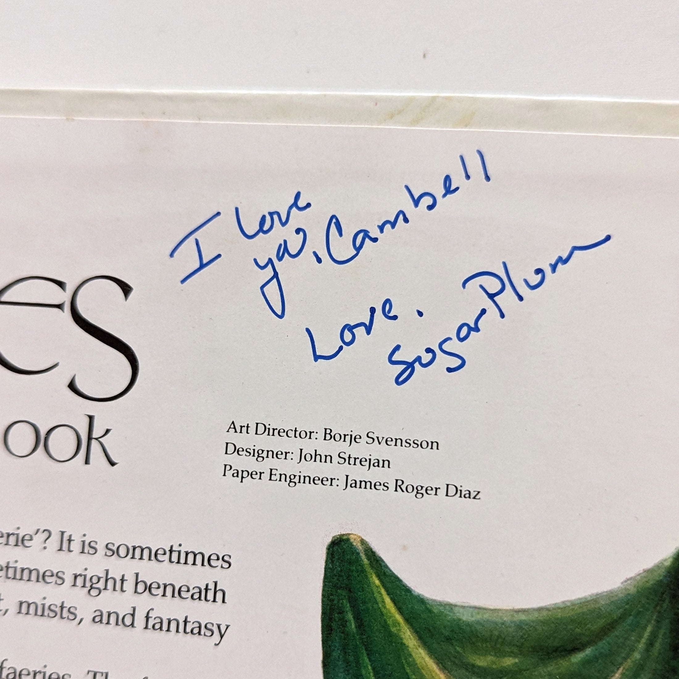 The FAERIES Pop-up Bookビンテージ 洋書 The Faeries Pop Up Book Brian Froud Alan Lee 1980 Abrams | eBay