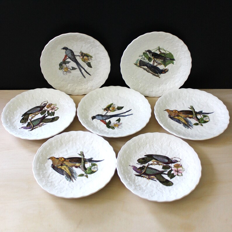 ENGLISH ALFRED MEAKIN BIRDS OF AMERICA LUNCHEON PLATE #18 BESWICK/'S WREN