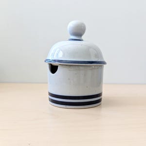 May include: A white ceramic sugar bowl with a blue lid and blue stripes around the base. The lid has a small spout for pouring.