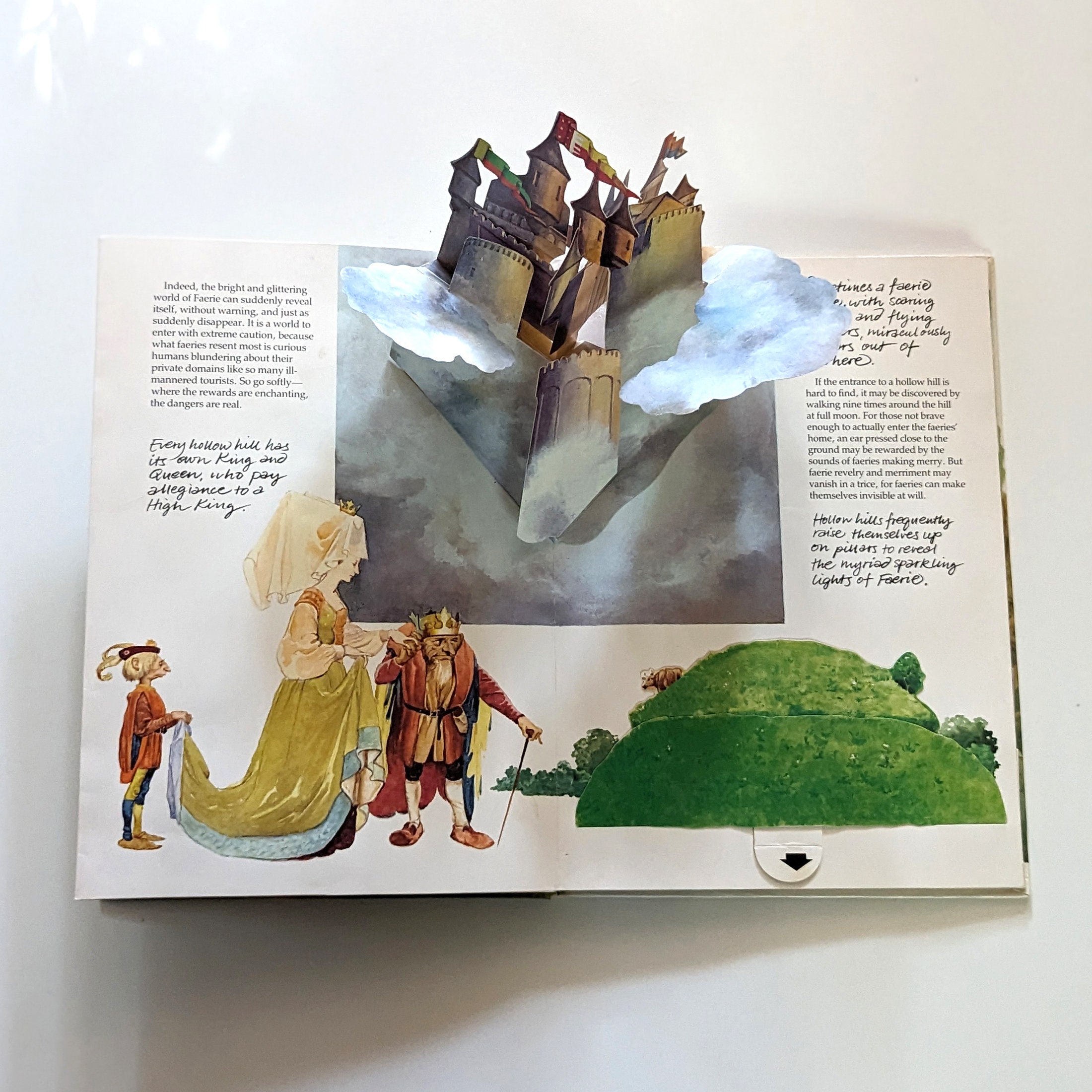 The FAERIES Pop-up Bookビンテージ 洋書 - メルカリ