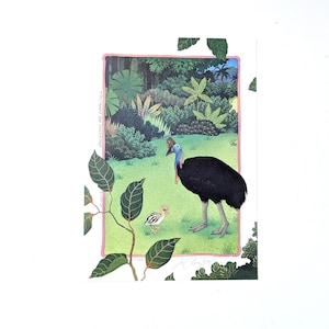 Serigrafia, 1987 Jo Anne Hook Casuario e pulcino, Stampa firmata di fauna selvatica australiana