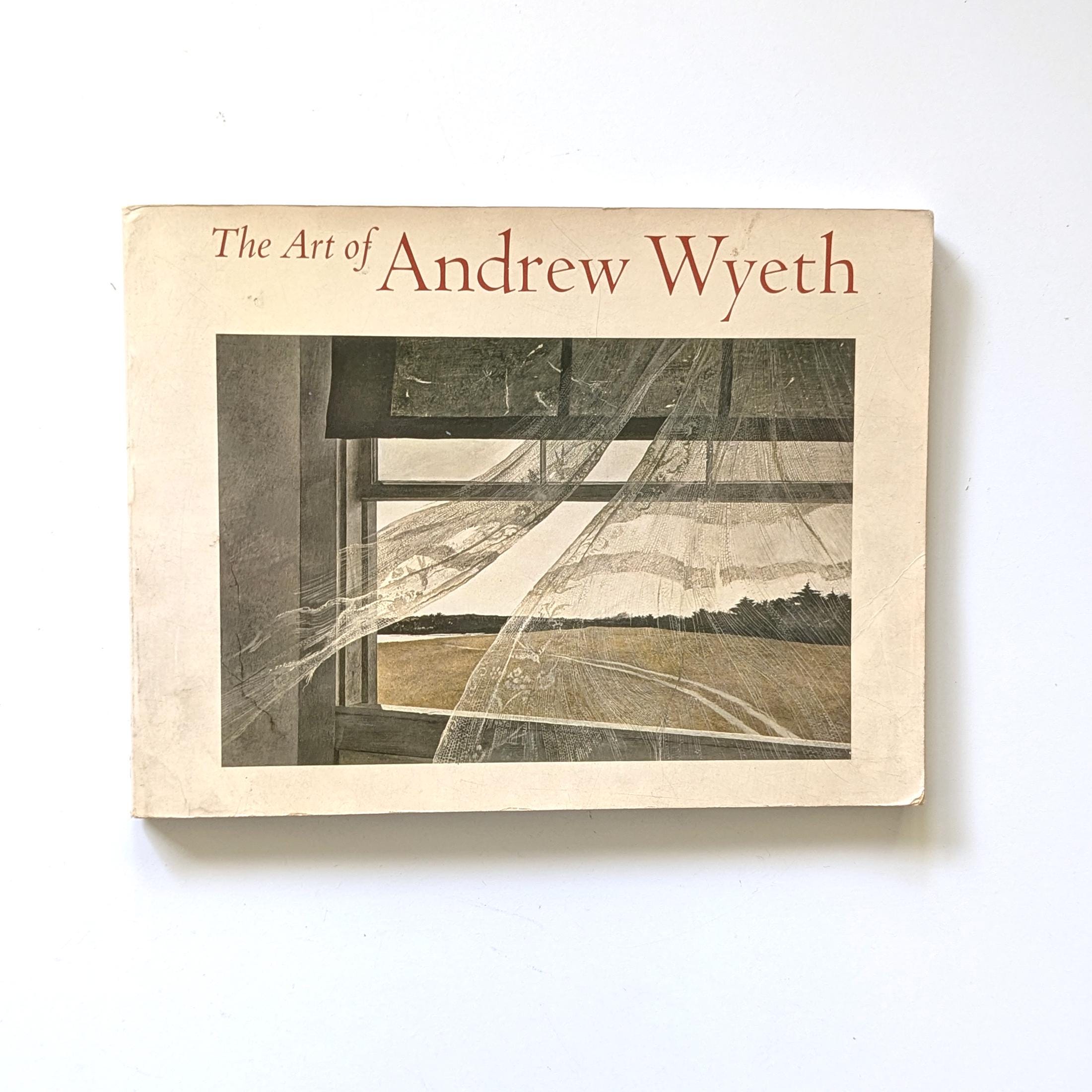 Vintage Andrew Wyeth Art Book, 1970s Paperback, Wanda M. Corn, New