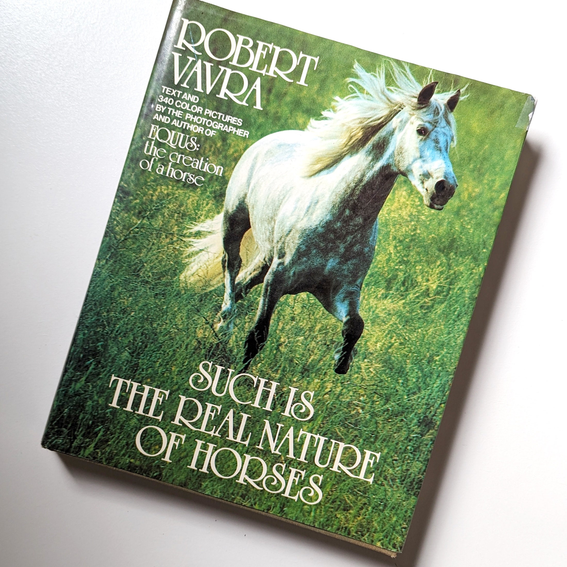洋書 Such Is the Real Nature of Horses Amazon.com: Such is the Real Nature of Horses : William Shatner