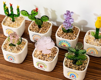 Maceta de vitral personalizada, Gracias por ayudarme a crecer, Regalo de agradecimiento para maestros, Suculenta arcoíris, Regalos de agradecimiento para maestros