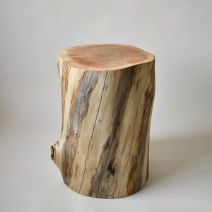 May include: A natural wood stool made from a tree trunk. The stool has a rough, rustic texture and a natural wood color.