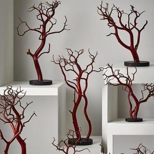May include: A set of six red twig branches arranged in a decorative display on white shelves. The branches are arranged in a variety of shapes and sizes, creating a unique and interesting visual.