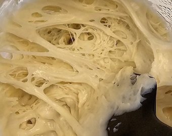 Organic Dehydrated Sourdough Starter: Artisan Rye Bread