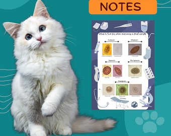 Veterinary fecal parasites poster, Vet nurse, Vet tech